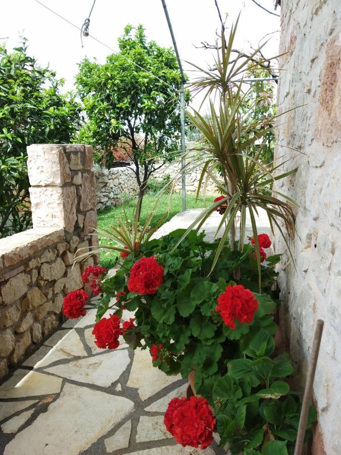 Altin Skrapari Guesthouse Ксамил Екстериор снимка