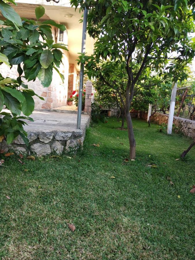 Altin Skrapari Guesthouse Ксамил Екстериор снимка
