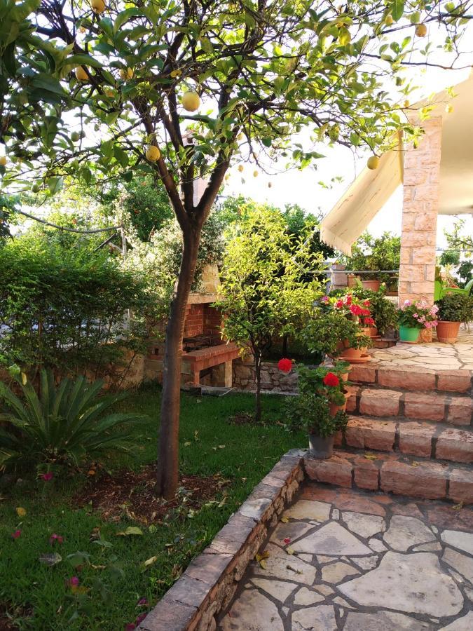 Altin Skrapari Guesthouse Ксамил Екстериор снимка